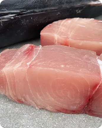 Marlin Fillet
